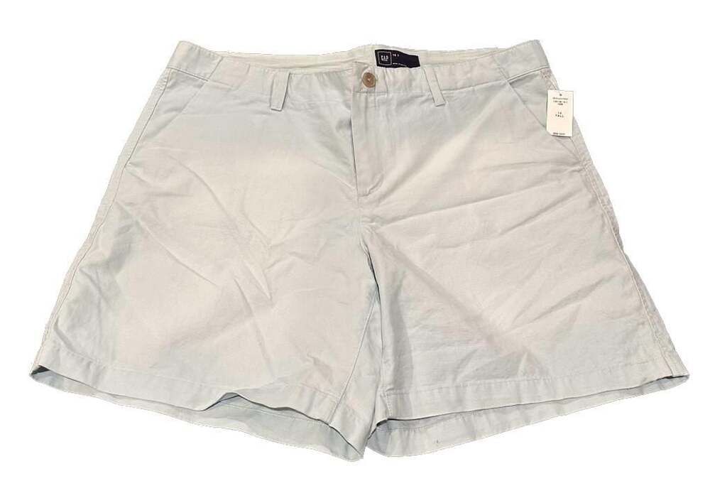 Gap Light Blue Flat Front Casual Chino Shorts